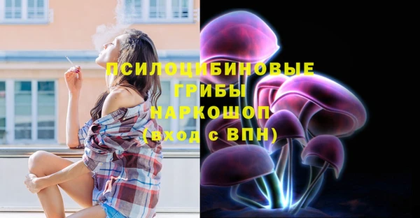 герыч Иннополис