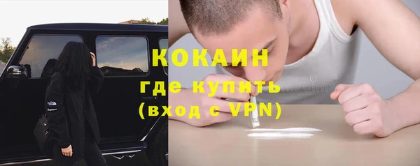 ешки Инсар