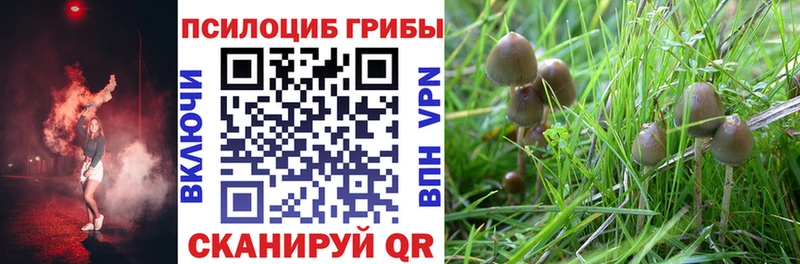 Псилоцибиновые грибы мухоморы  Купить  Городец 